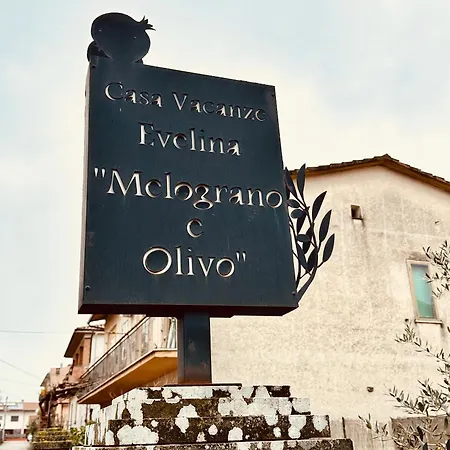 L'Olivo Di Evelina Villa Bagnoregio Exterior photo