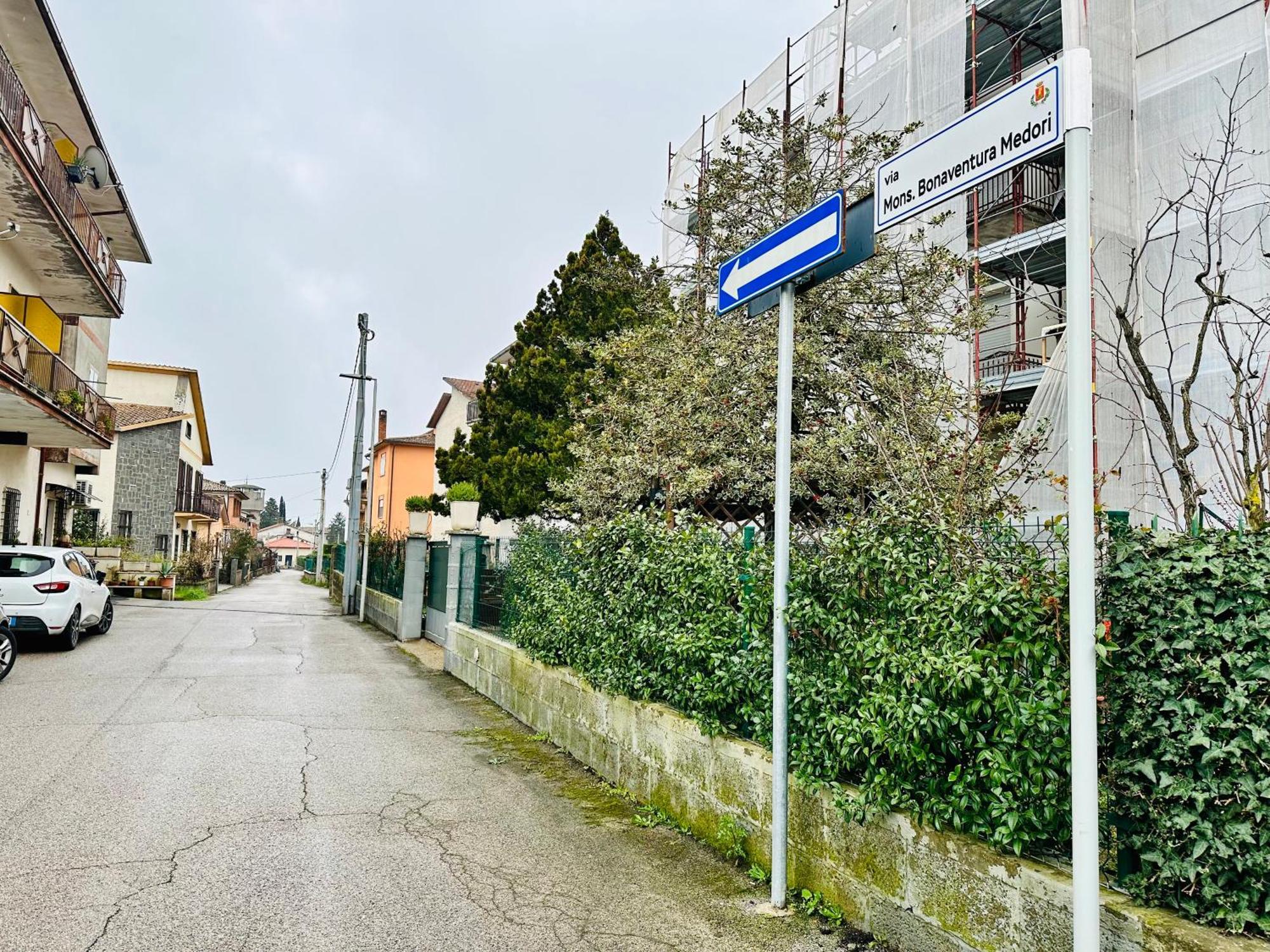 L'olivo Di Evelina * Bagnoregio